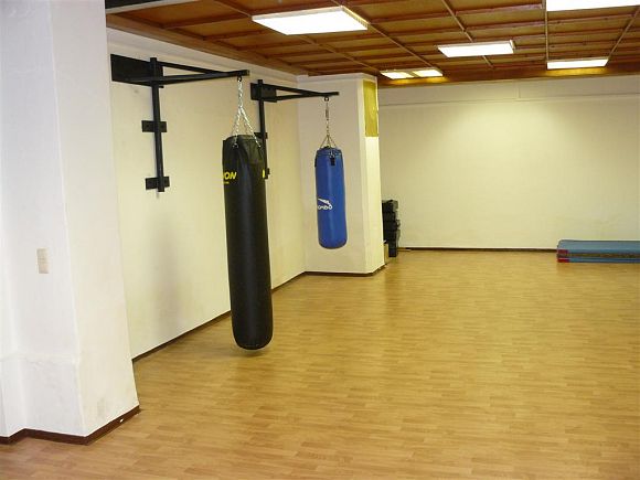 Dojo