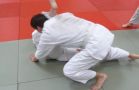 P1080550.jpg